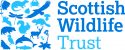 SWT Logo 2-tone Horizontal